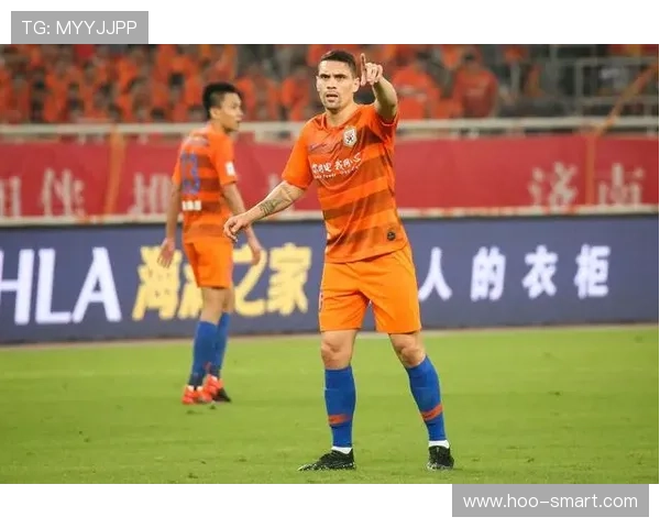 山东泰山莫伊塞斯