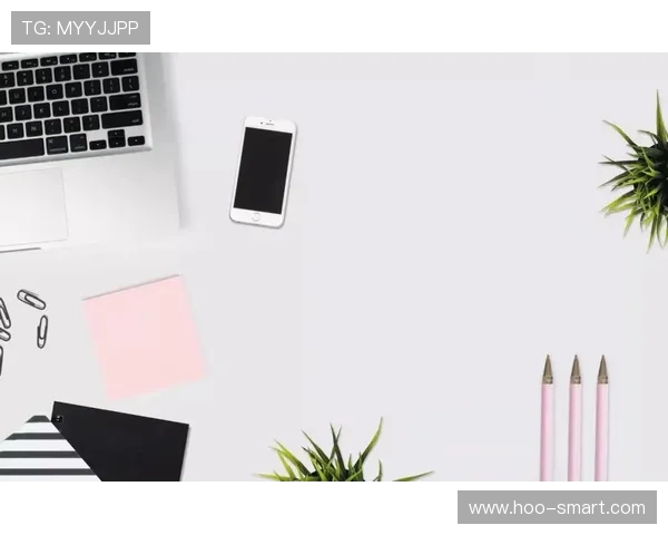 布鲁诺职业规划