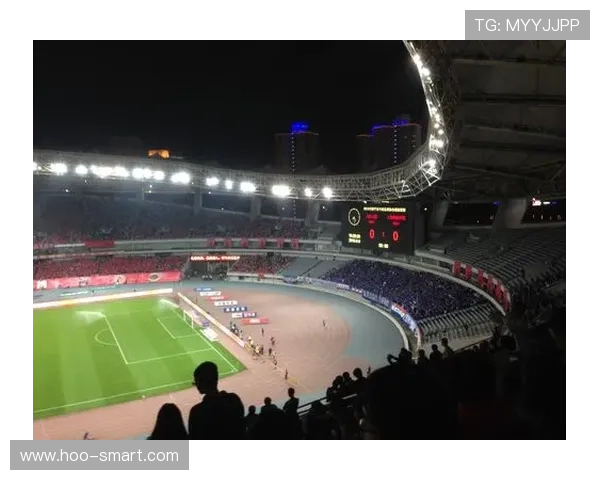 上海海港球迷蓝魔 上海海港球迷蓝魔