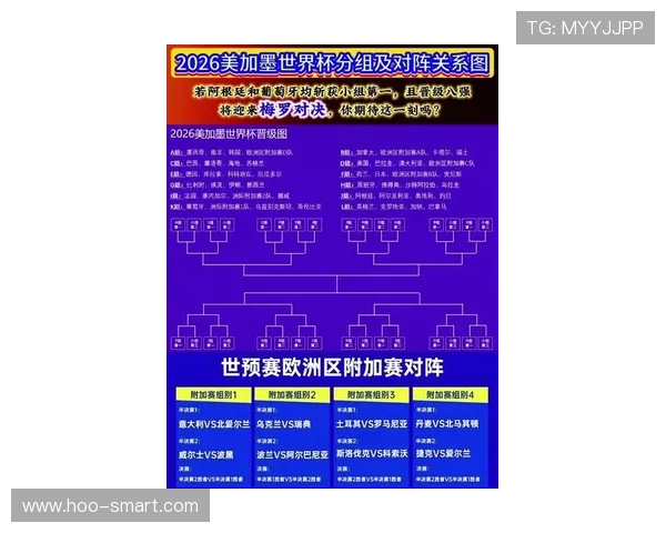 世界杯E组晋级热门排行榜最新更新